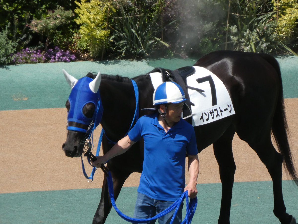 インザストーンがんばれ〜！
骨折で久々の復帰レース！