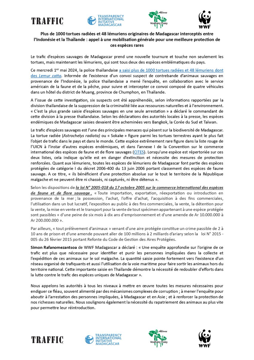 TI_MDG's tweet image. ⚠️COMMUNIQUE⚠️

‼️Plus de 1000 tortues radiées et 48 lémuriens originaires de Madagascar interceptés entre l’Indonésie et la Thaïlande : appel à une mobilisation générale pour une meilleure protection de ces espèces rares‼️

#FightCorruption #SaveWildlife
