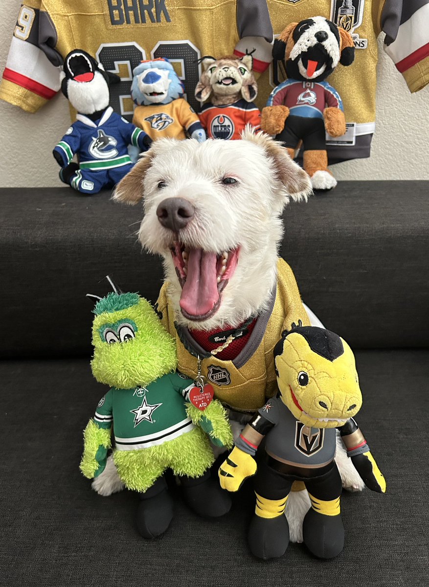 WINNER!
@DallasStars 0
@GoldenKnights 2
~ Deke🐾 
#GoKnightsGo
#VegasBorn                            
#DALvsVGK                       
#StanleyCupPlayoffs #VictorySausage