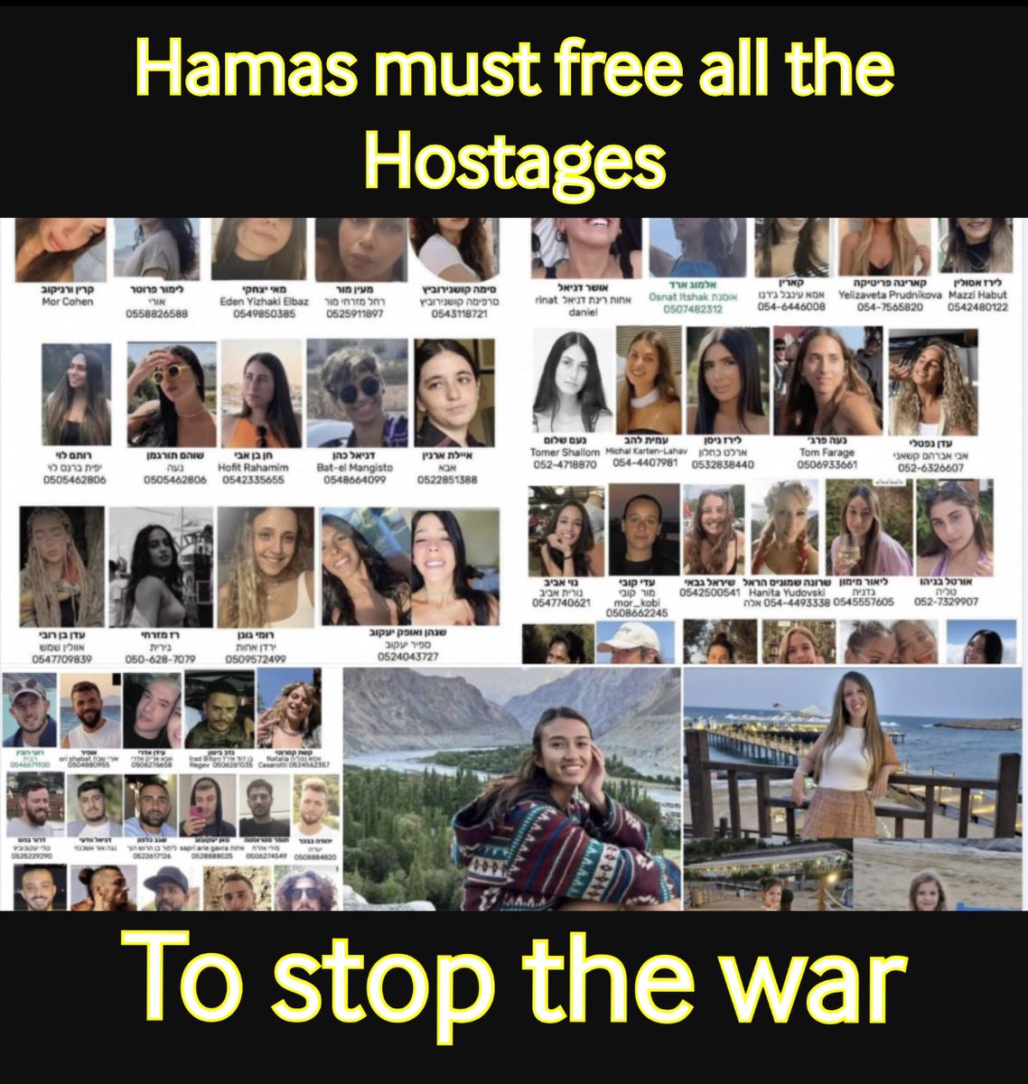 @Kahlissee Has hamas freed the remaining hostages to end the war ?

Israel wants their people back and hamas knows it .

So blame #hamas for the continuation of the #Gaza_War 

#FreeTheHostages