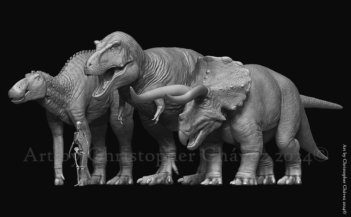 Comparison of sizes of three great titans.

#tyrannosaurus #triceratops #edmontosaurus #paleoart #zbrush #huion #lenovo #creality #anycubic