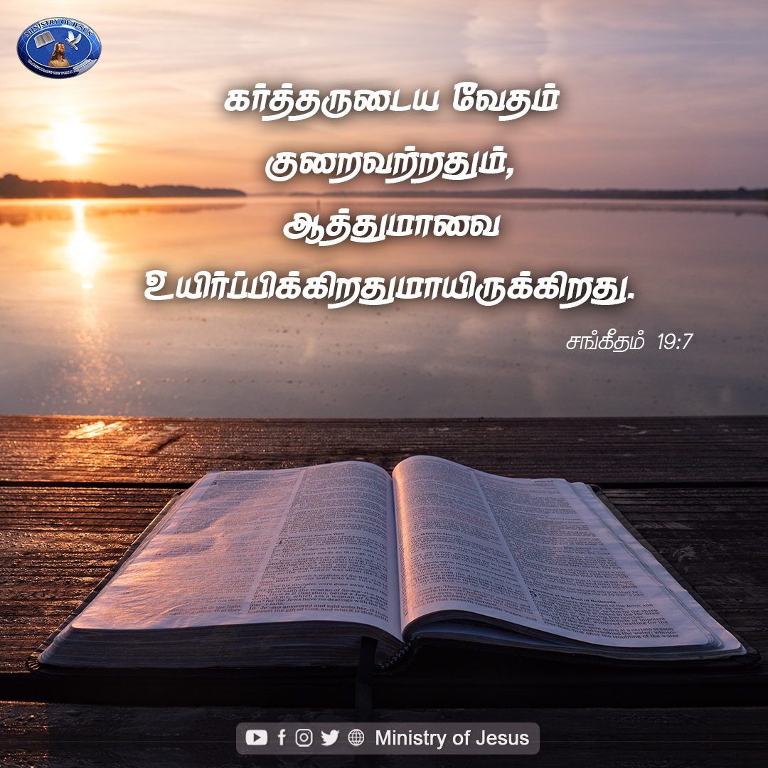 Promise of the day - 5th May Sunday - The law of the Lord is perfect, converting the soul. (Psalms 19:7) #ministryofjesus #anandastira #margretstira #godsword #bibleverse #bible #wwj #jesusquotes #dailylife #encouragingwordsfromgod #motivationalquotes #tiktok #explorepage #like