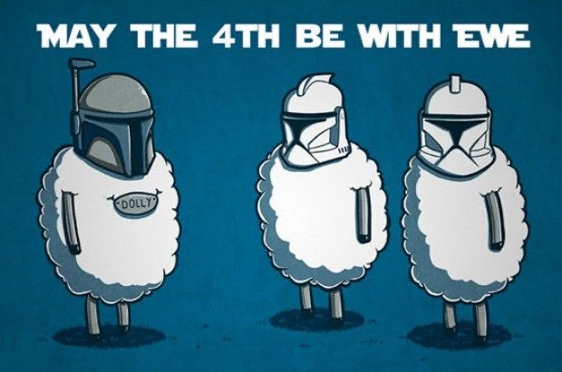 We love a good pun #StarWarsDay