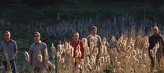 My Oasis crop is coming in nicely. Harvest coming.
#Oasis   #LiamGallagher   #NoelGallagher #Bonehead