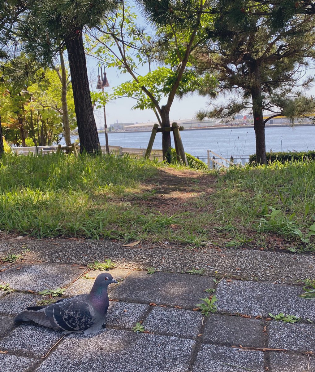 座っておくつろぎ中のところ1枚失礼します