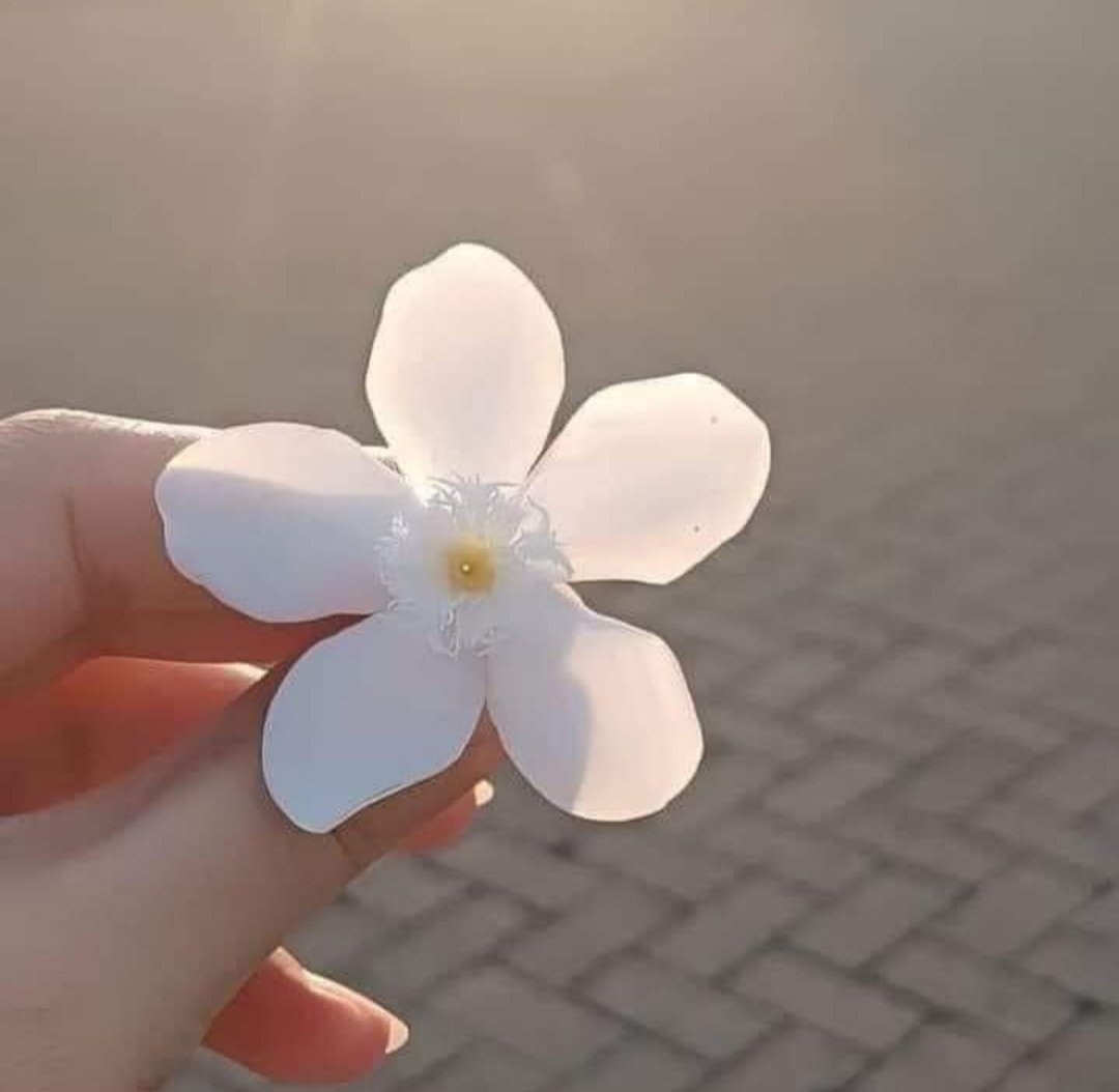 Günaydın 🌼🌿