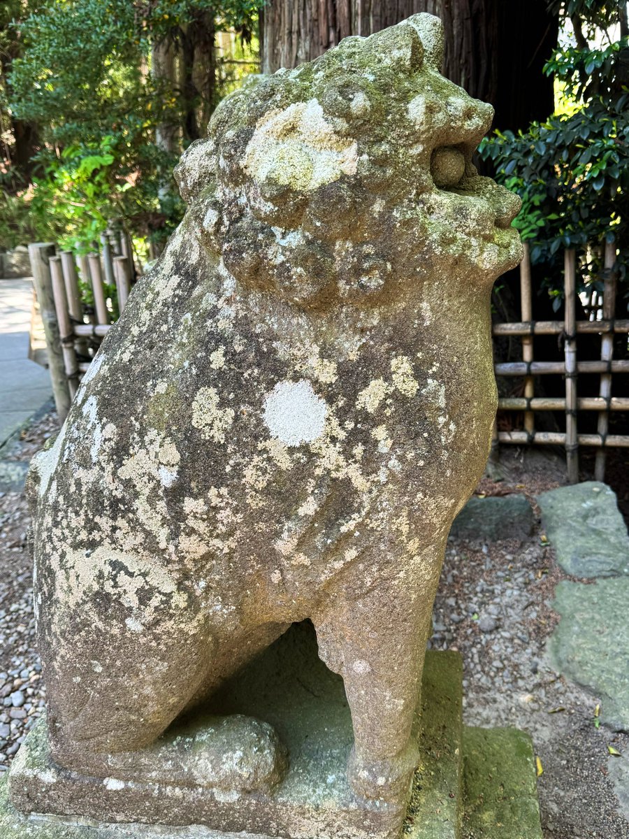 フグみたいで滅茶苦茶可愛い仙台狛犬。
#狛犬めぐる