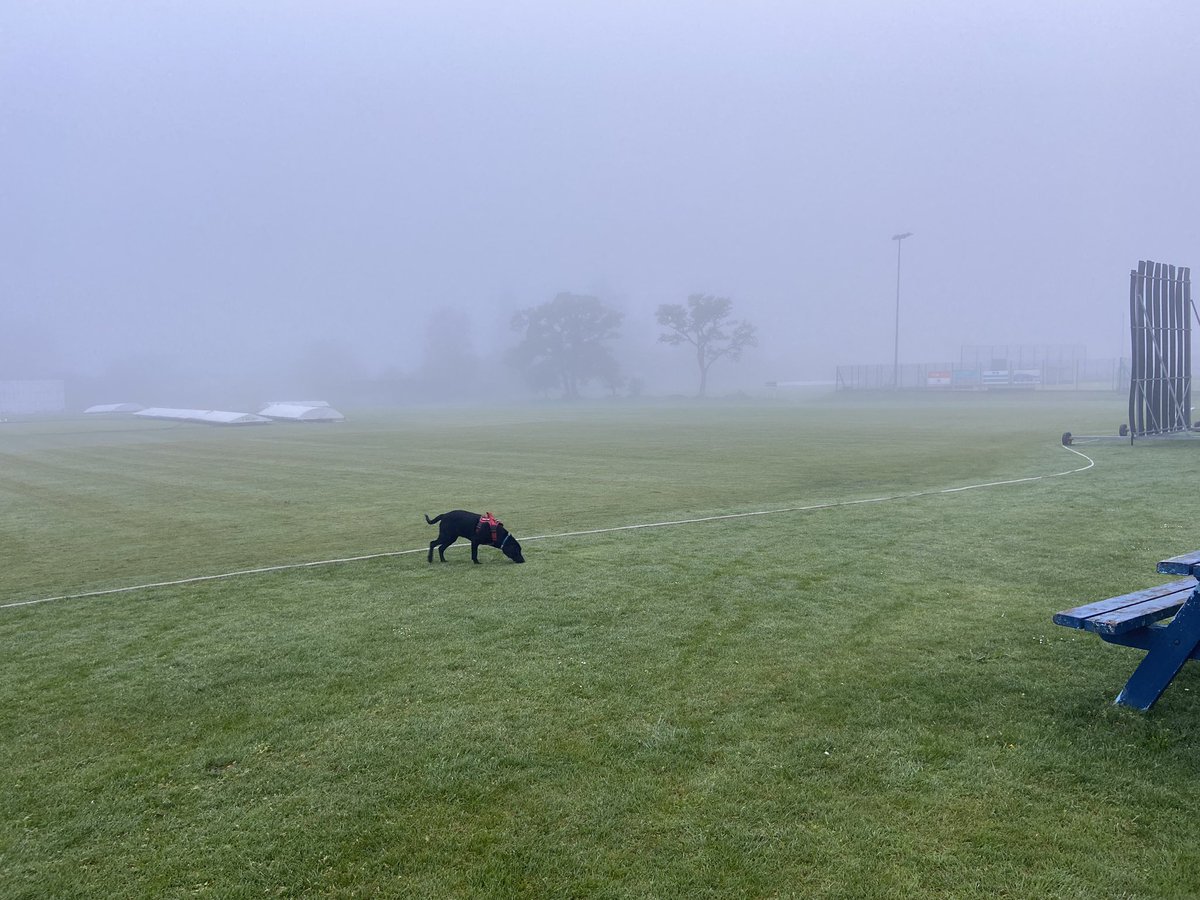 Early morning hound. Wishing everyone a smashing #BankHoliday weekend. #MegTheServicePuppy