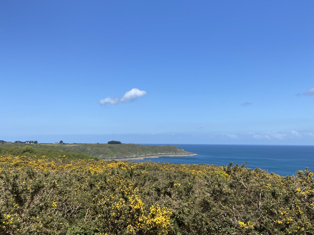 Frbou - F4IJC tweet media