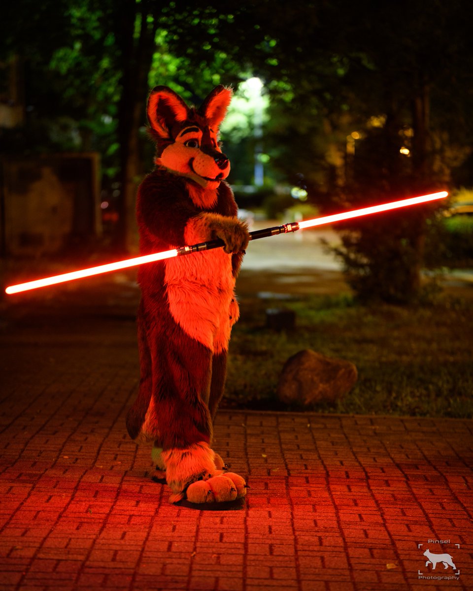 Only sith deals in absolutes may the force be with you. #StarWarsDay 📸 @PinselLuchs