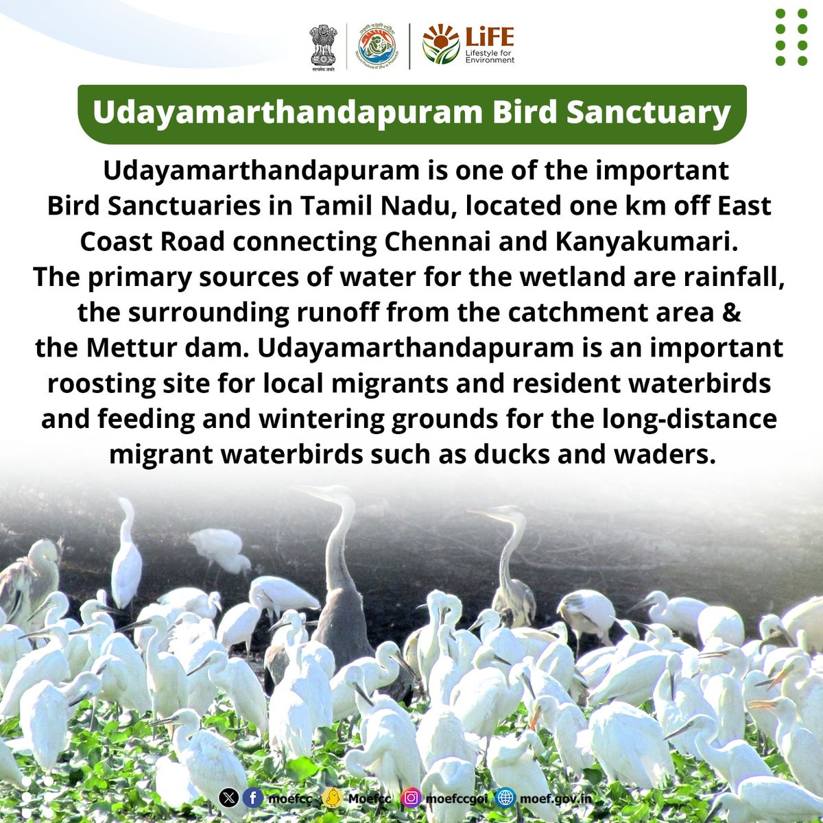 #ChooseLiFE #MissionLiFE @moefcc 
Udayamarthandapuram Bird Sanctuary