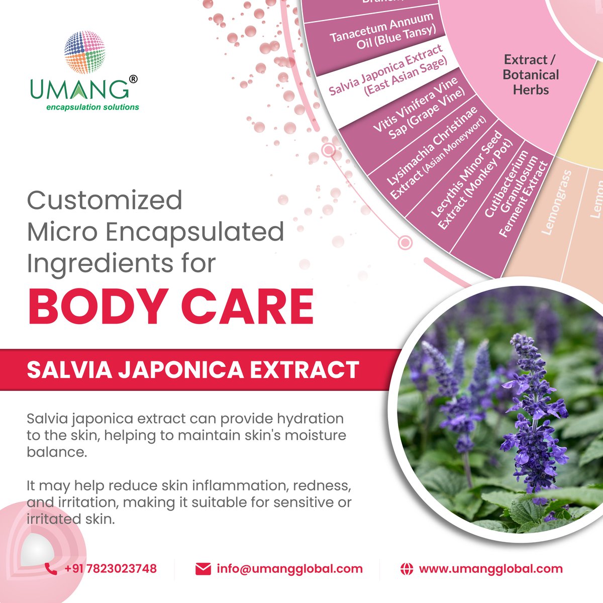 Contact us for more details.
umangparticlescience.com
#umangglobalgroup #encapsulation #EssentialOils
#personalcareproducts #customizedsolutions #Japonica #asiansage #ingredients #bodycare #umangbudhraja