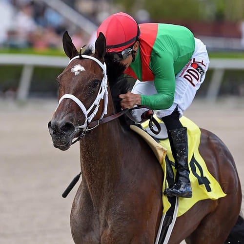 Team Valor's Green Up will run in the Ruffian Stakes G2 at Aqueduct (Belmont At The Big A) on Saturday. Green Up has Kendrick Carmoushe in the saddle from draw 2. The Ruffian is over 1 mile on the dirt and goes off at 5:39pm.