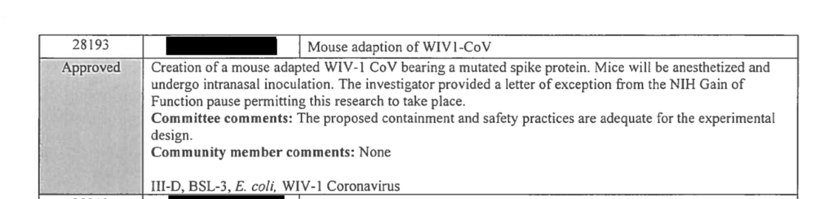 Leaving all else aside, how is it possible that on August 3, 2016, the Biosafety Committee of the University of North Carolina noted that Fauci's NIH had approved gain-of-function experiments on a chimeric Wuhan lab coronavirus clone whereas Fauci claims that this never happened.