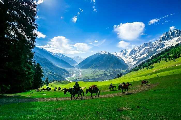 This is one of the best tour packages for #Kashmir because it is a well crafted tour package for Kashmir. You will cover all major tourist attractions of Kashmir in 6days. It includes #Srinagar sightseeing tour, fun filled #Gulmarg tour, exciting tour of #Sonamarg and #Pahalgam.
