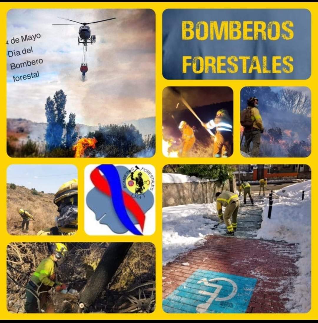 #internationalfirefigtherday #diadelbomberoforestal #4demayo #BBFF #BRIF #bomberosforestsleshastalascenizas
#4deMayo