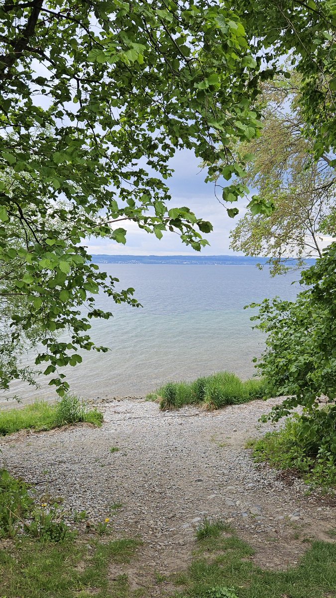 Blick auf den Bodensee.