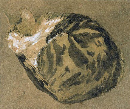 Welsh painter Gwen John, Cat study (c.1904) #womensart