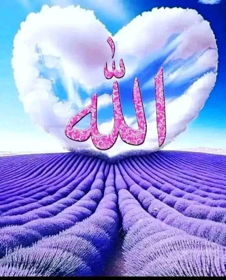 Assalam o alaikum إِنَّ اللَّهَ يُحِبُّ الْمُقْسِطِينَ बेशक अल्लाह इंसाफ करने वालों से मोहब्बत करता है Good morning दोस्तों