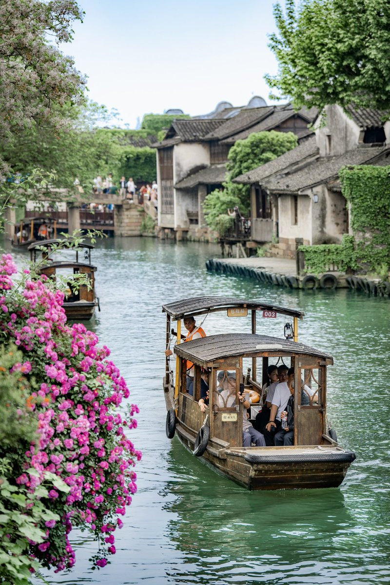 Wuzhen__China tweet picture