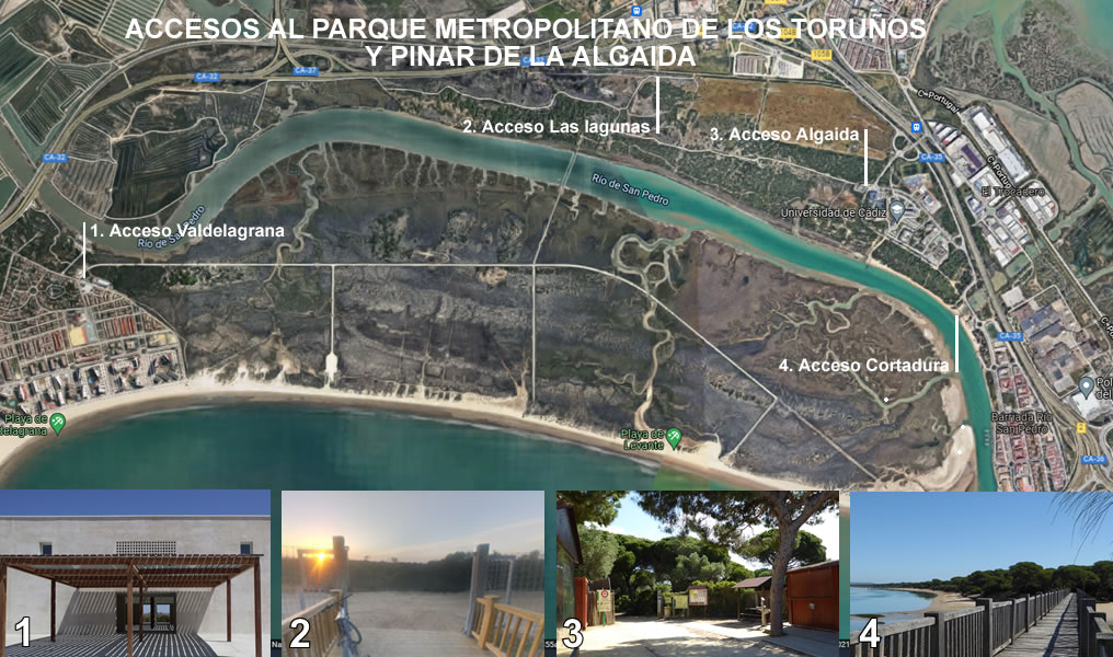 El Parque permanece abierto todos los días del año, con varios accesos disponibles según los itinerarios o actividades a realizar
Más información: bit.ly/2Fj4Ree
<a href="/TurismoPtoReal/">Puerto Real Turismo</a> <a href="/TurismoElPuerto/">ElPuertoDeSantaMaría</a> <a href="/CadizJunta/">Cádiz Junta</a> <a href="/FomentoAND/">Consejería de Fomento de la Junta de Andalucía</a>
