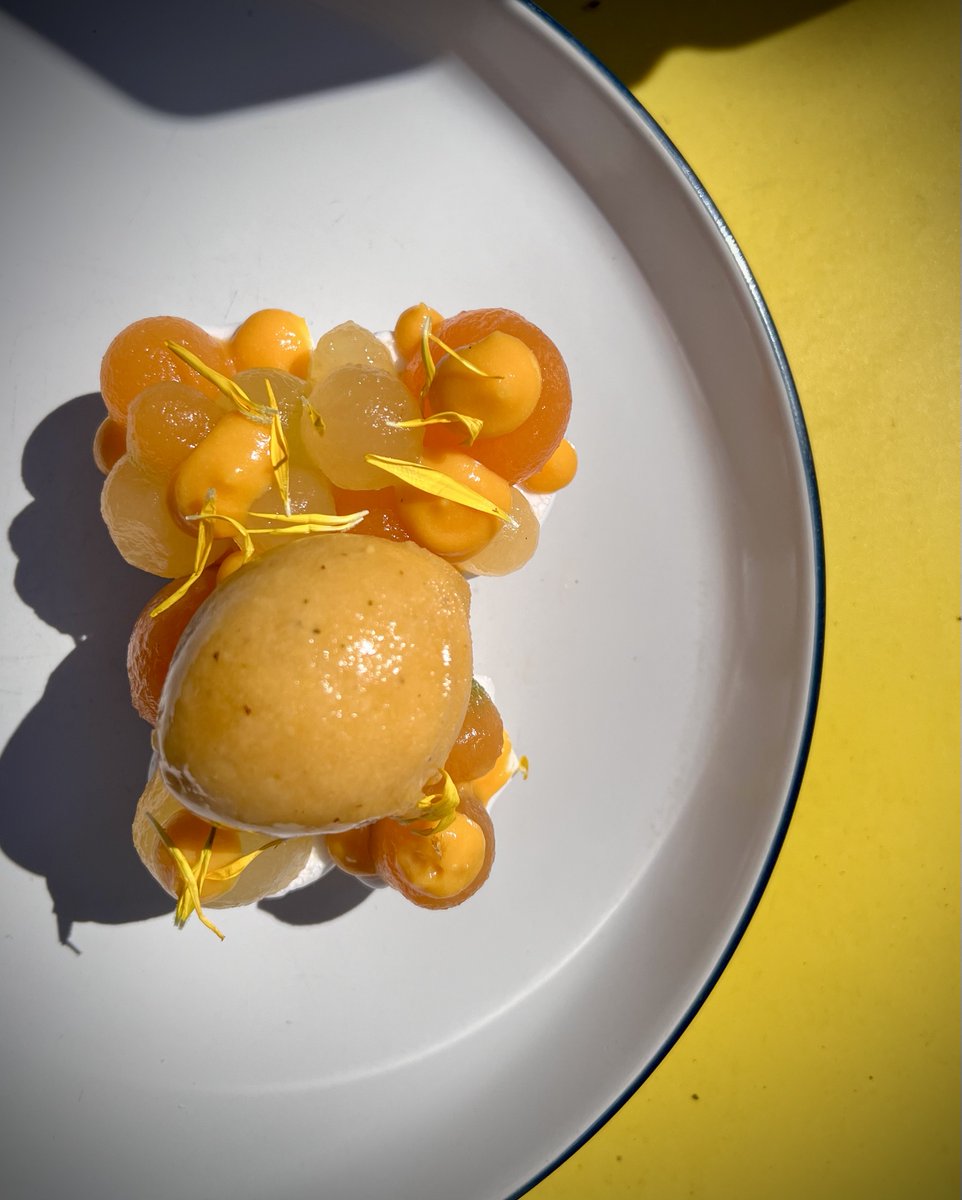 What a picture of sunshine, our vegan dessert. 

Melon 'Meringue', melon and apricot 'curd', apricot sorbet, marigold. 

#vegan #vegandessert #veganpudding #norfolkfood #veganfood #thedabblingduckpub #pubfood  #DessertIdeas #PlantBasedDessert #DessertLovers #VeganSweets