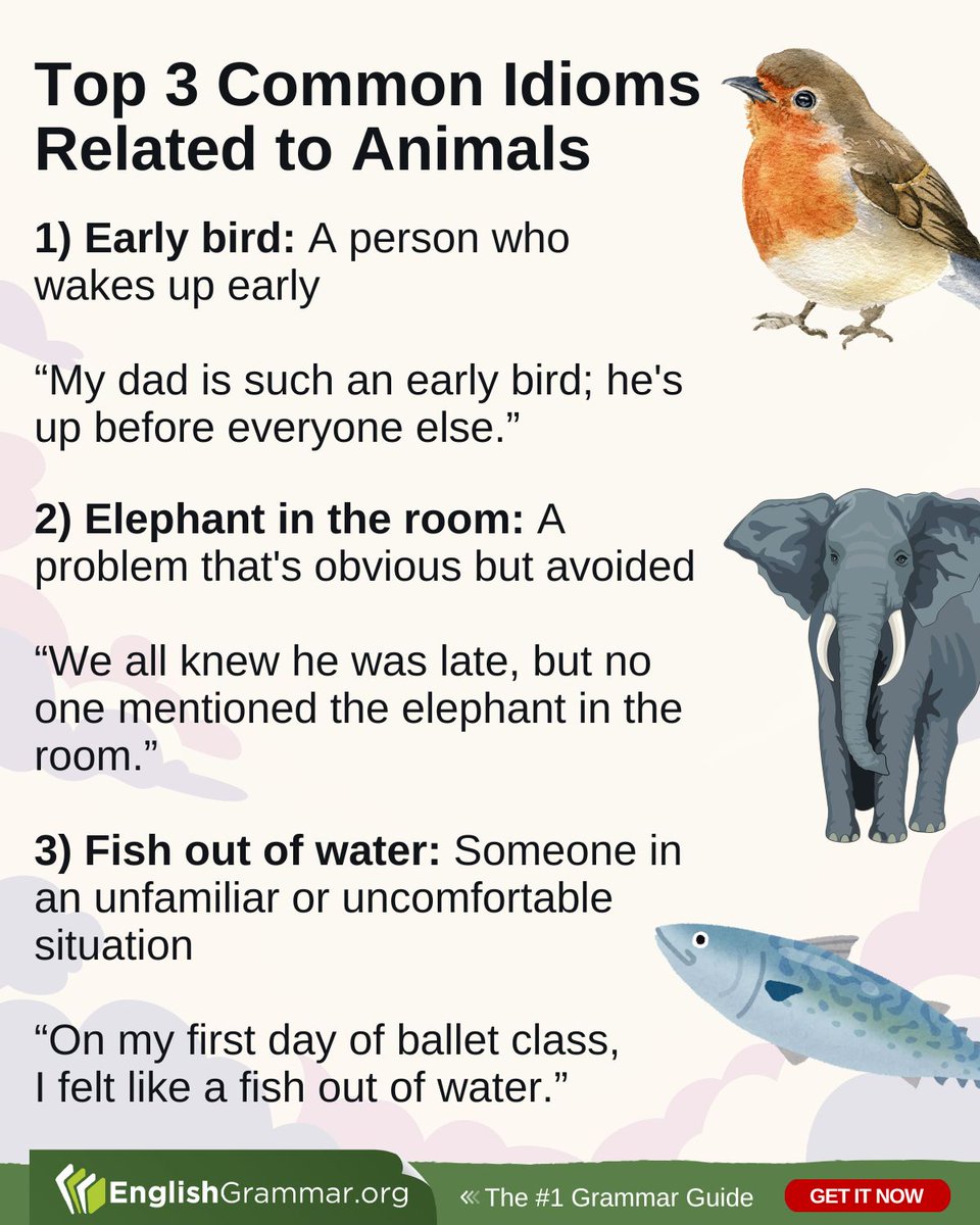 Top 3 Common Idioms Related to Animals #vocabulary #amwriting #writing