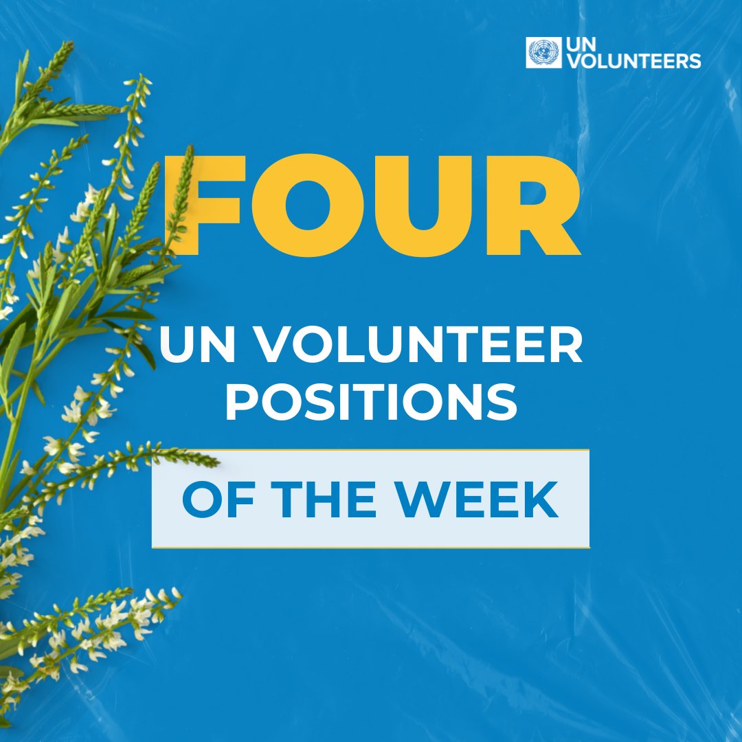 Here are 4⃣ volunteering opportunities of the week. Procurement Associate: bit.ly/3UpH66V Social Protection Officer: bit.ly/3wj5ijm Programme Assistant: bit.ly/3UFUSUl Digital Revenue Strategy: bit.ly/44pxaif 👉Apply / Share