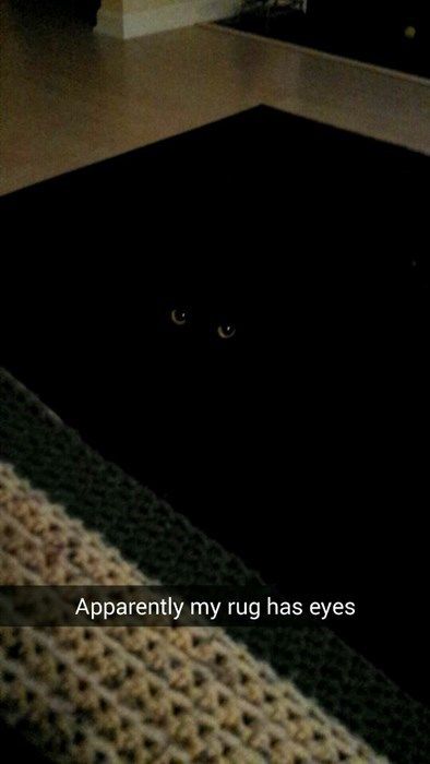 meow2you's tweet photo. As Janie put away the cat treats, she couldn't shake the feeling she was being watched. 😹🤔😹🤔
#LumpyRugDay #CatsAreFamily
@ThePhilosopurr @GeneralCattis @HarryCatPurrs @RealCatFanatic9 @LuminousNumino1 @TERRYW_UK @PeterRABBIT67 @briano29 @eliznoelle @EringoB02429272 @lymeist https://t.co/uwX8SnJrFo