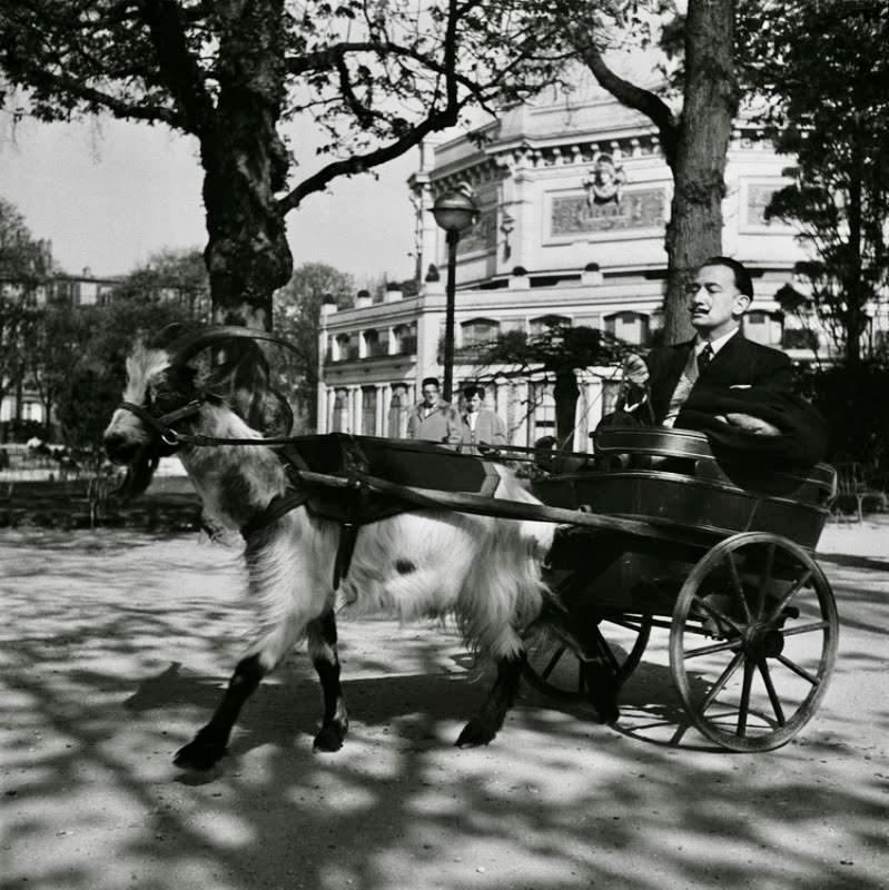 Salvador Dalí on a goat carriage, 1953.