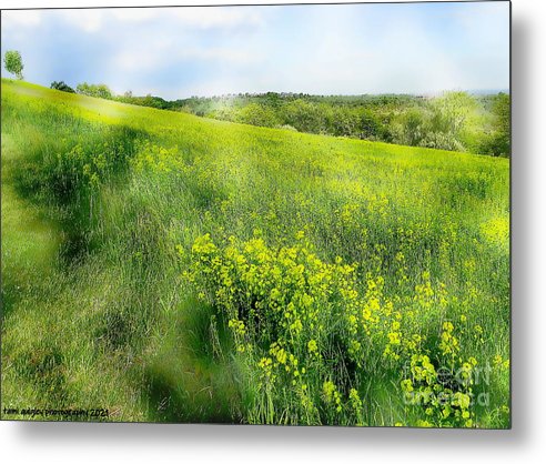 All Things Seem Possible In May tami-quigley.pixels.com/featured/all-t… #ThePhotoHour #ArtistOnTwitter #AYearForArt #Inspiring #spring #May #landscape #art for #MothersDay #giftidea #wallart! #lehighvalleyphotographer @visitPA #TrexlerNaturePreserve #LehighValley @LehighValleyPA @wildlandspa
