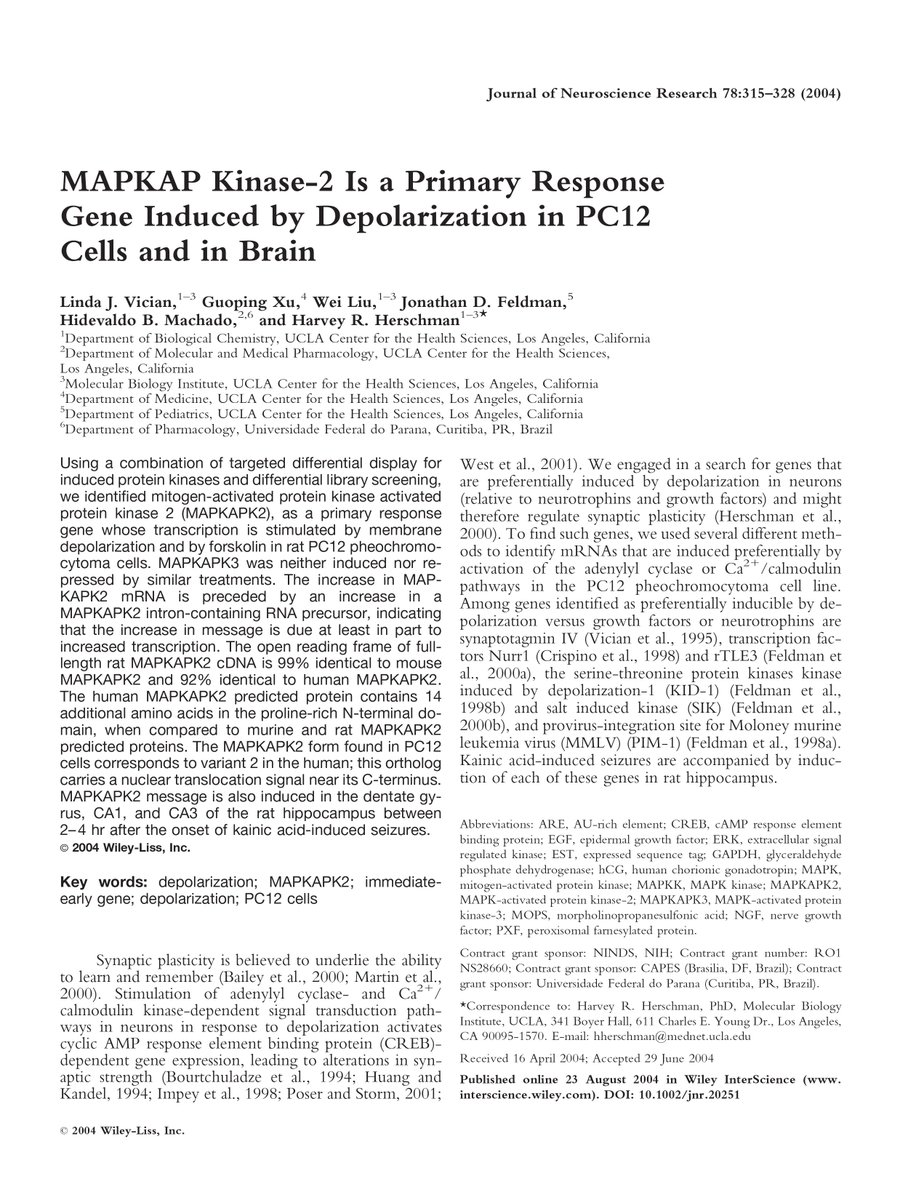 MAPKAP kinase-2 is a primary response gene induced by depolarization in PC12 cells and in brain eurekamag.com/research/012/2…