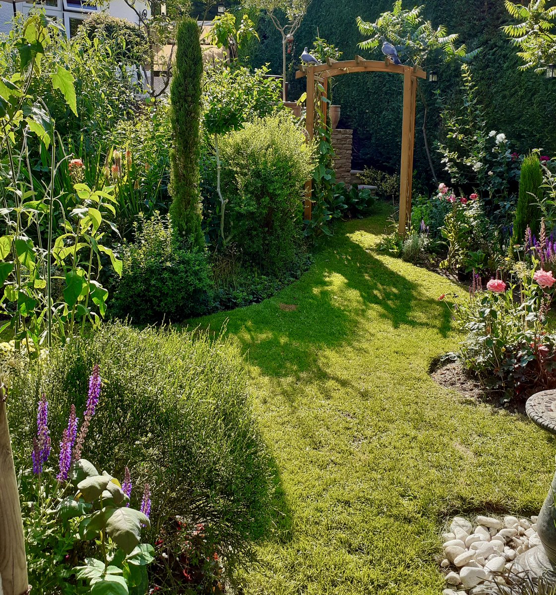 On @tobybuckland's superb radio show for #gardeners, Sun 10am - 2, @BBCDevon - I'll explain how home garden can easily help with Britain's Nature Recovery. Whether formal, wild, tidy, or a patio or balcony full of pot plants. Tune in on @bbcsounds from anywhere #GardenersWorld