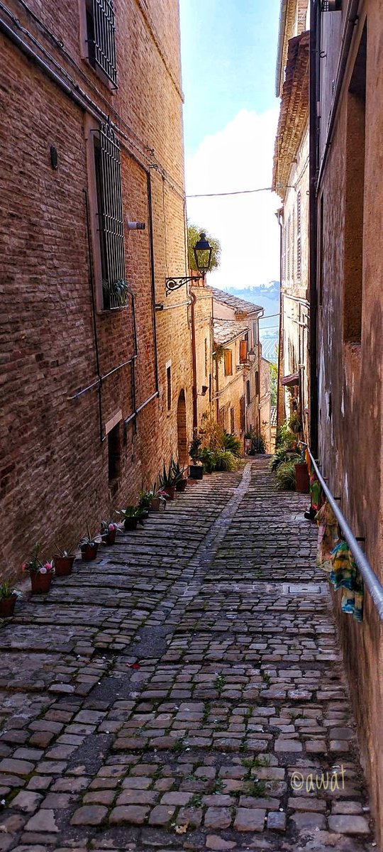 #photography
#photo #foto
#fotografia
#street #streetphotography #streetphoto #urbanphotography

Civitanova Marche (Macerata)