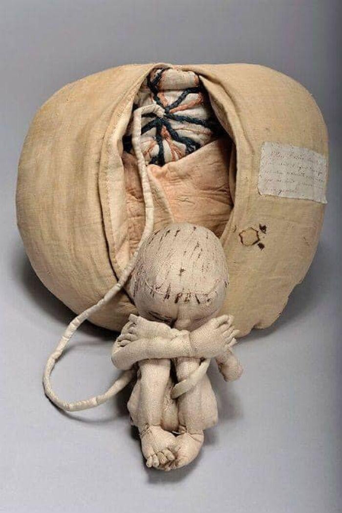 This mannequin was designed by Angelique Marguerite Le Boursier Du Coudray in the 18th century. It was used to teach obstetrics