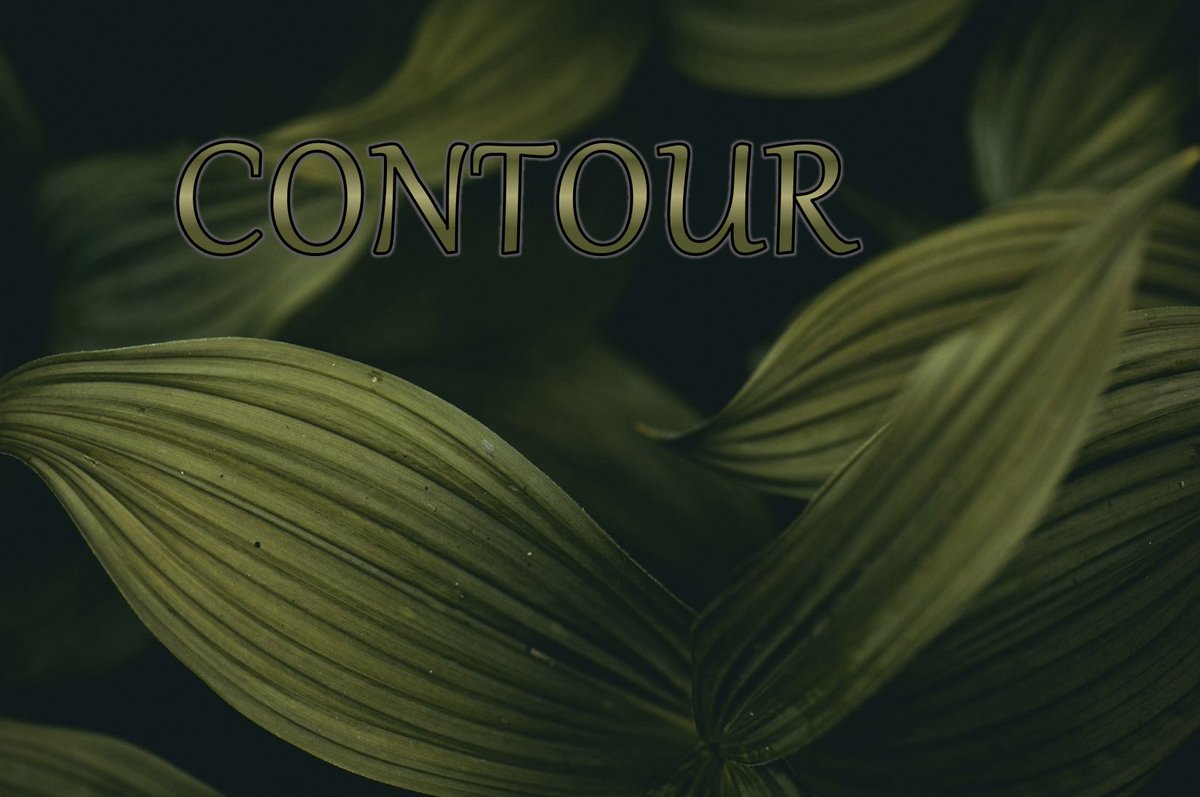 #SymphAndJules word of the day: Contour

Don't forget to @ us in your posts, and we'll re-tweet! 💛📷

#WritingPrompts