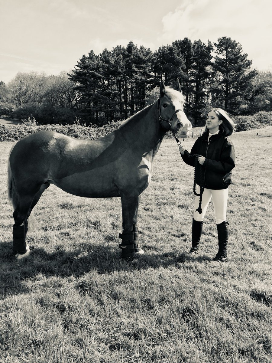 Today’s random phone photo ❤️ I love this moment … right before loading in a trailer to head home. It was always a lottery as to how it would go 😂 I’m smiling and crying #ForManon #Always16 #GoneTooSoon #Suicide #Grief