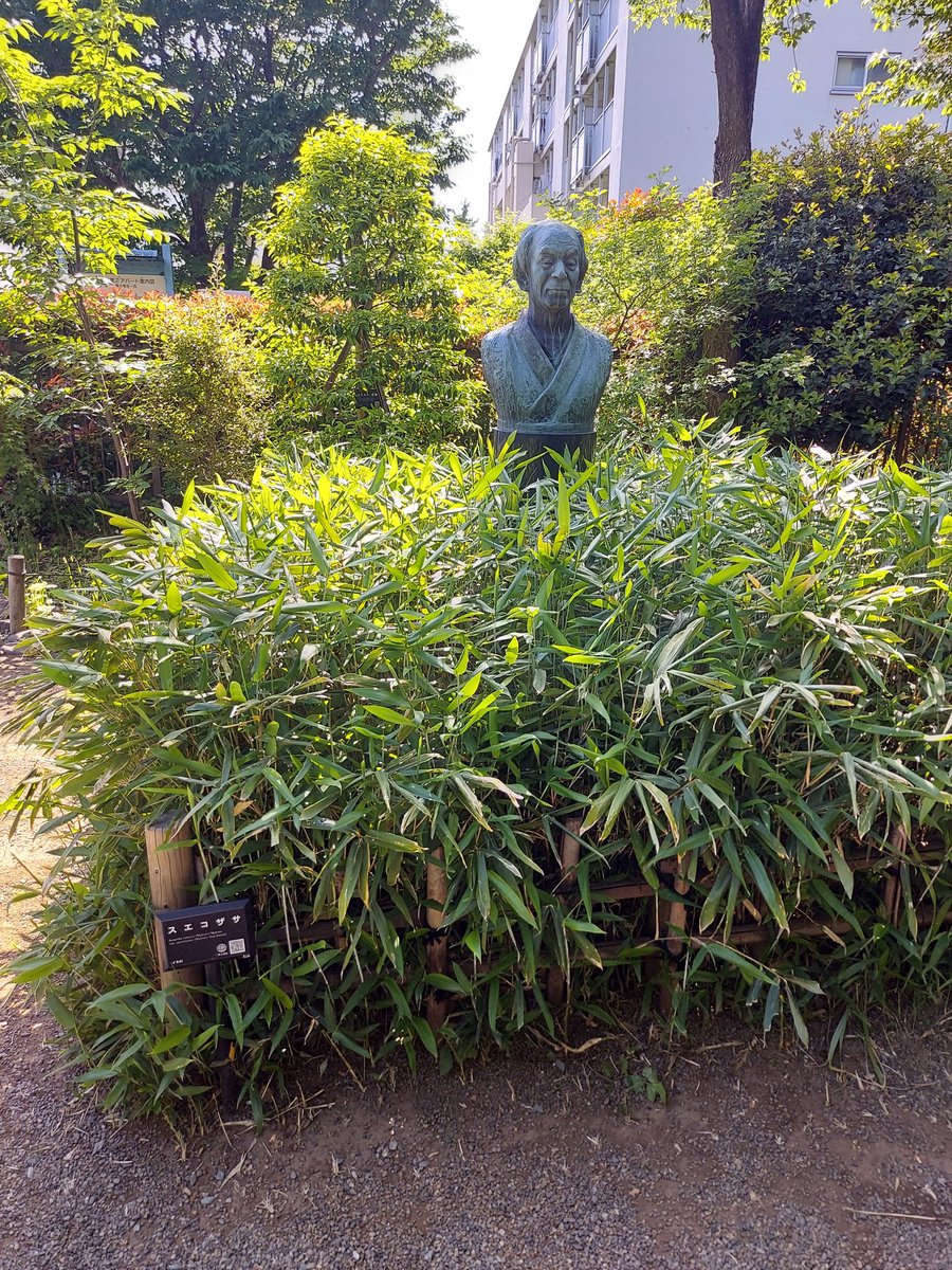 朝ドラ「らんまん」の聖地
すえちゃんのスエコザサ見れてほんと感無量