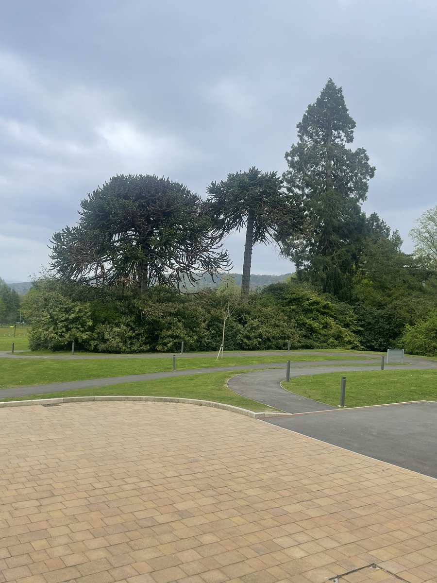 ALASTAIR CAMPBELL tweet media