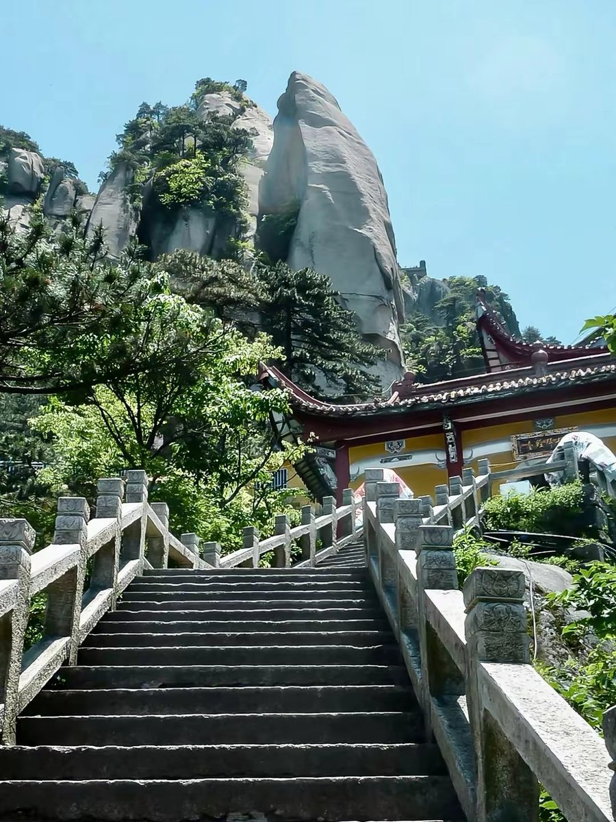 ⛳️In Jiuhua Mountain, there are also many precious ancient trees and famous woods, such as thousand-year-old gingko trees, yew trees, and so on.
九華山還有許多珍貴的古樹名木，如千年銀杏、紅豆杉等。