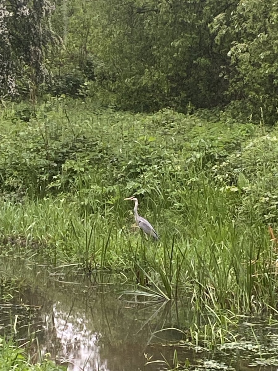 Sarah Payling tweet media