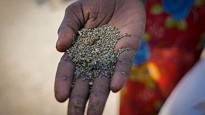Plus de 7 millions de Sud-Soudanais menacés d'insécurité alimentaire selon l'ONU @FAOenFrancais fr.africanews.com/2024/05/01/plu…