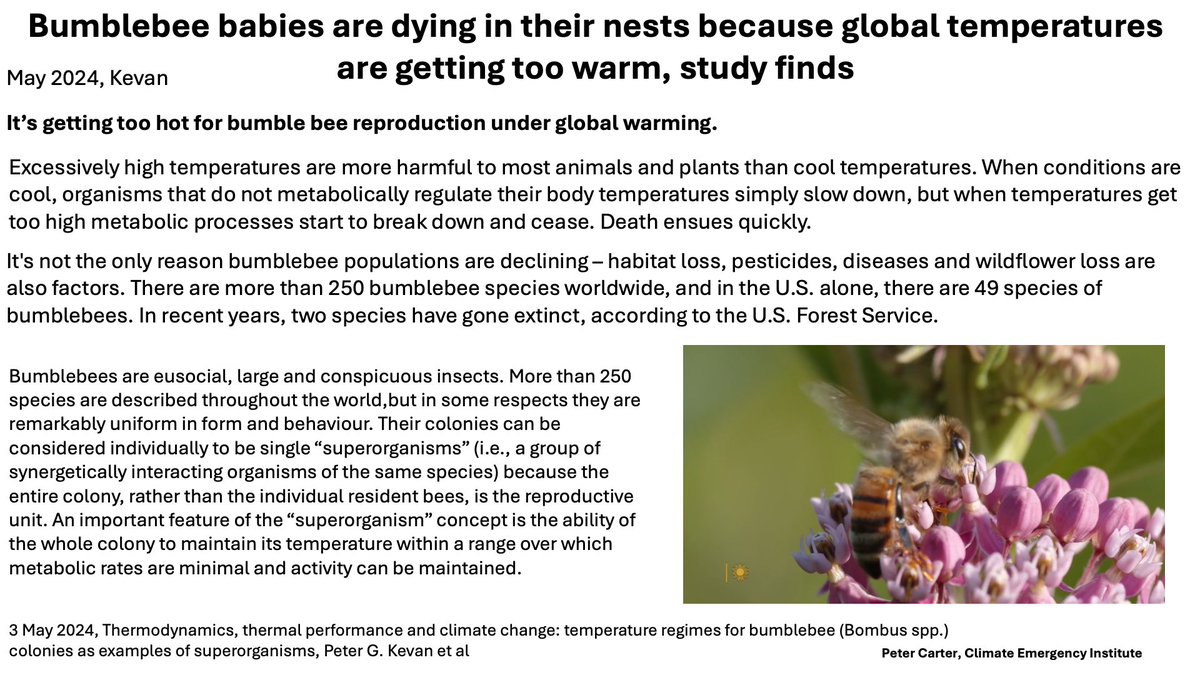 WARMING KILLS BUMBLE BEE REPRODUCTION It is getting too hot for bumble bee reproduction. After 130 million years on Earth they are condemned to fossil fuel (and pesticide) extermination. Science records Age of annihilation cbsnews.com/news/bumblebee… #climatechange #globalwarming