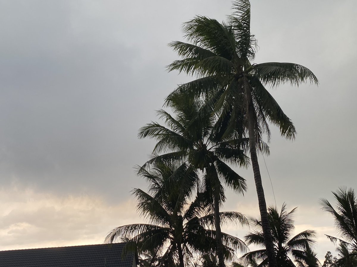 Nước biển mênh mông không đong đầy tình Mẹ,
Mây trời lồng lộng không phủ kín tình Cha.