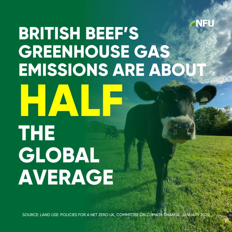 British beef farmers produce meat sustainably 🥩🇬🇧