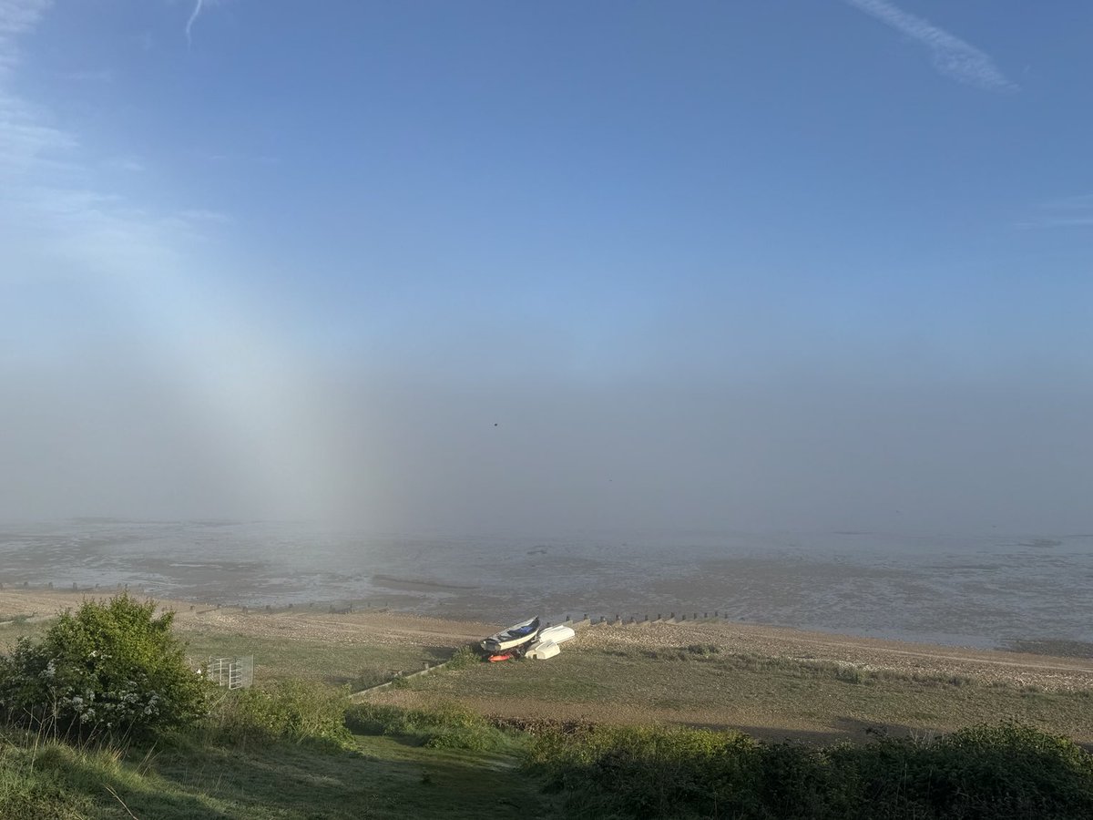 #Whitstable in the misty morning sun.