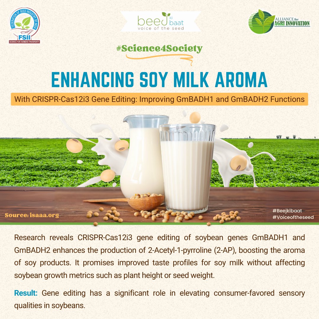 CRISPR #technology boosts the aroma of soy milk by enhancing the production of key aroma compounds, specifically 2-Acetyl-1-pyrroline, through #geneediting of GmBADH1 and GmBADH2.

#agriculture #sustainability #biotechnology #research #beejkibaat #voiceoftheseed #fsii