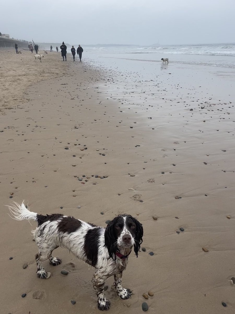 Welcome to Bank Holiday weekend! #WhitleyBay