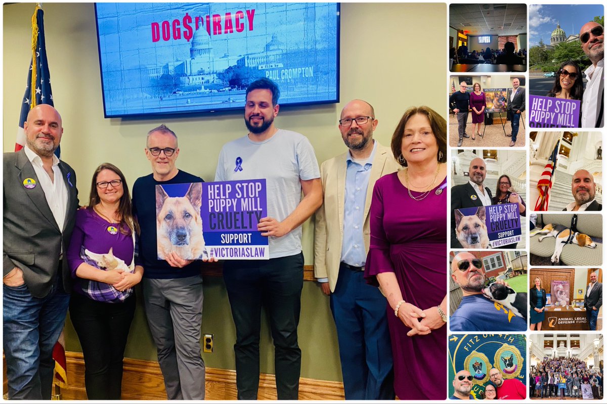 Productive few days in the States. Attended #PAHumaneLobbyDay at the Capitol in #Harrisburg, chatted with legislators about various issues incl. #VictoriasLaw, first public screening of #DogSpiracy followed by Q&A, plus got to hang out with some of my fave peeps! #AnimalWelfare