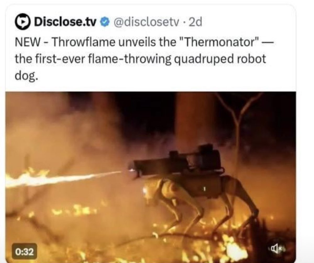 the capitalists would rather make robot dogs that start fires than make robot dogs that put them out.